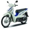 ANGELA 50CC MÀU:TRẮNG XANH