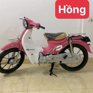 yalim Cup81- Bánh Mâm- Hồng