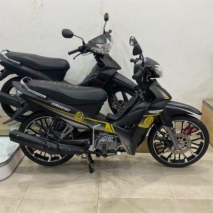 SIRIUS 110 - PHANH ĐĨA VÀNH ĐÚC MÂM NHỆN - ĐỘ MÀU SƠN MÀU:ĐEN VÀNG BẠC